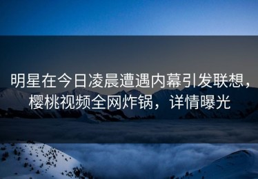明星在今日凌晨遭遇内幕引发联想，樱桃视频全网炸锅，详情曝光