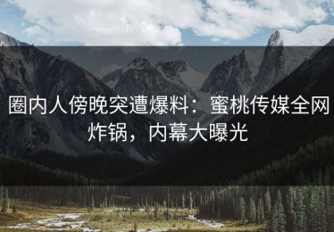 圈内人傍晚突遭爆料：蜜桃传媒全网炸锅，内幕大曝光