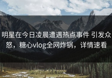 明星在今日凌晨遭遇热点事件 引发众怒，糖心vlog全网炸锅，详情速看