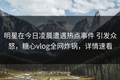 明星在今日凌晨遭遇热点事件 引发众怒，糖心vlog全网炸锅，详情速看