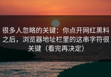 很多人忽略的关键：你点开网红黑料之后，浏览器地址栏里的这串字符很关键（看完再决定）