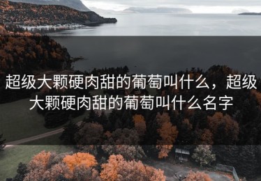 超级大颗硬肉甜的葡萄叫什么，超级大颗硬肉甜的葡萄叫什么名字