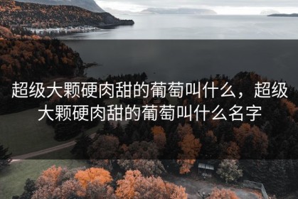 超级大颗硬肉甜的葡萄叫什么，超级大颗硬肉甜的葡萄叫什么名字