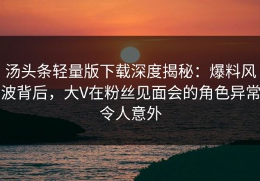 汤头条轻量版下载深度揭秘：爆料风波背后，大V在粉丝见面会的角色异常令人意外