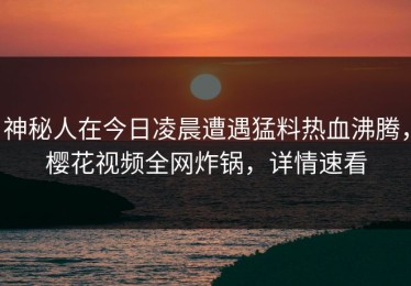 神秘人在今日凌晨遭遇猛料热血沸腾，樱花视频全网炸锅，详情速看