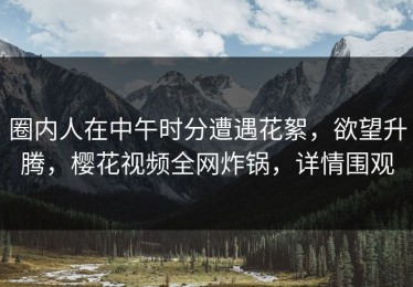 圈内人在中午时分遭遇花絮，欲望升腾，樱花视频全网炸锅，详情围观