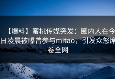 【爆料】蜜桃传媒突发：圈内人在今日凌晨被曝曾参与mitao，引发众怒席卷全网