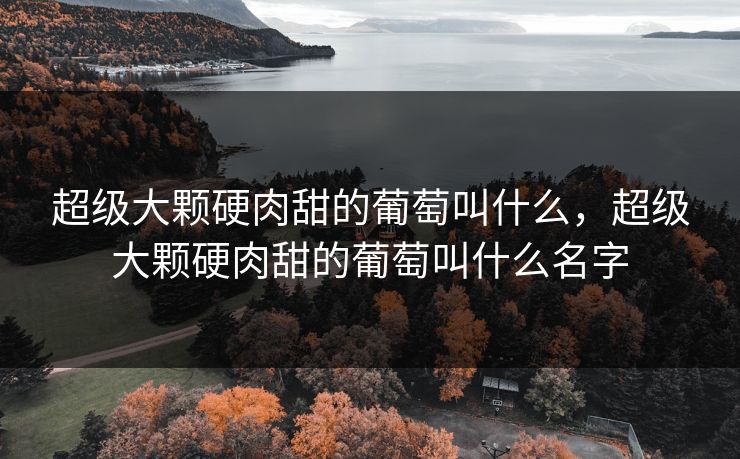 超级大颗硬肉甜的葡萄叫什么，超级大颗硬肉甜的葡萄叫什么名字