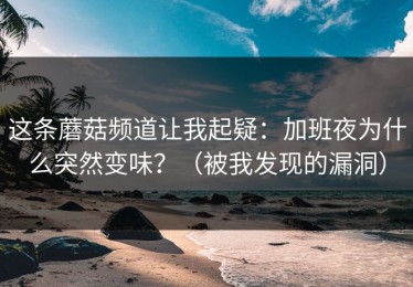 这条蘑菇频道让我起疑：加班夜为什么突然变味？（被我发现的漏洞）