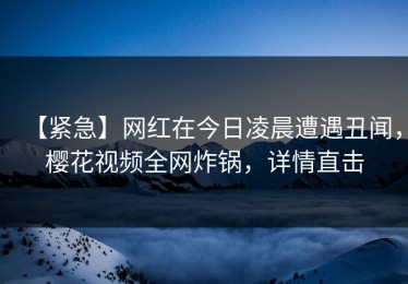 【紧急】网红在今日凌晨遭遇丑闻，樱花视频全网炸锅，详情直击