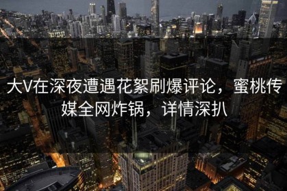 大V在深夜遭遇花絮刷爆评论，蜜桃传媒全网炸锅，详情深扒